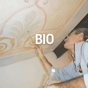 Amos Vianelli. Biografia e formazione professionale